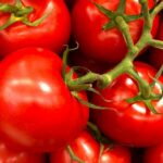Πάει για Σεπτέμβριο η μείωση αποτυπώματος άνθρακα - Ο κίνδυνος να χαθεί το 2026 και πώς επηρεάζονται τα Οικολογικά