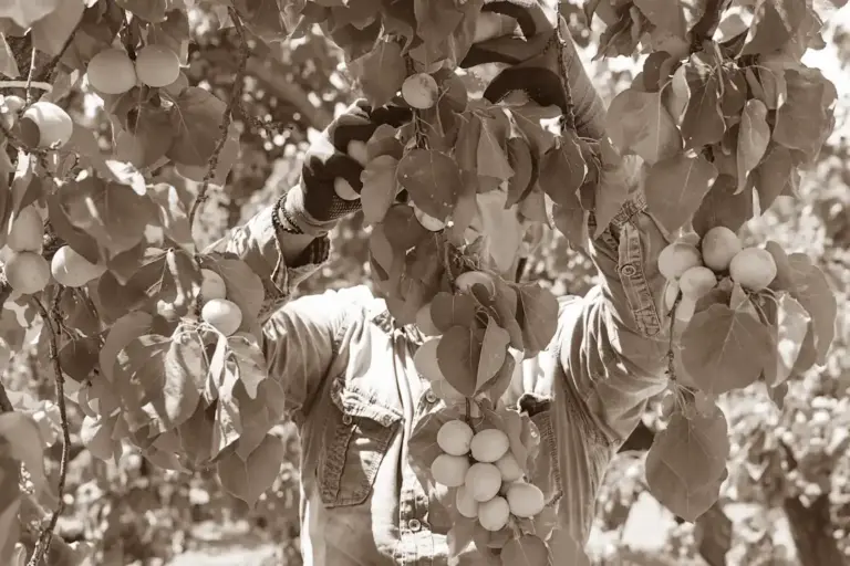 Οταν προσπερνάς την αλήθεια…