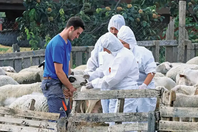 Χρ. Κέλλας: Ανοιχτό το θέμα του lockdown για τα αιγοπρόβατα - Θα συζητηθεί σε σύσκεψη τη Δευτέρα