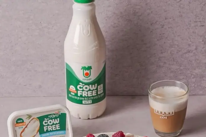 no cow milk1