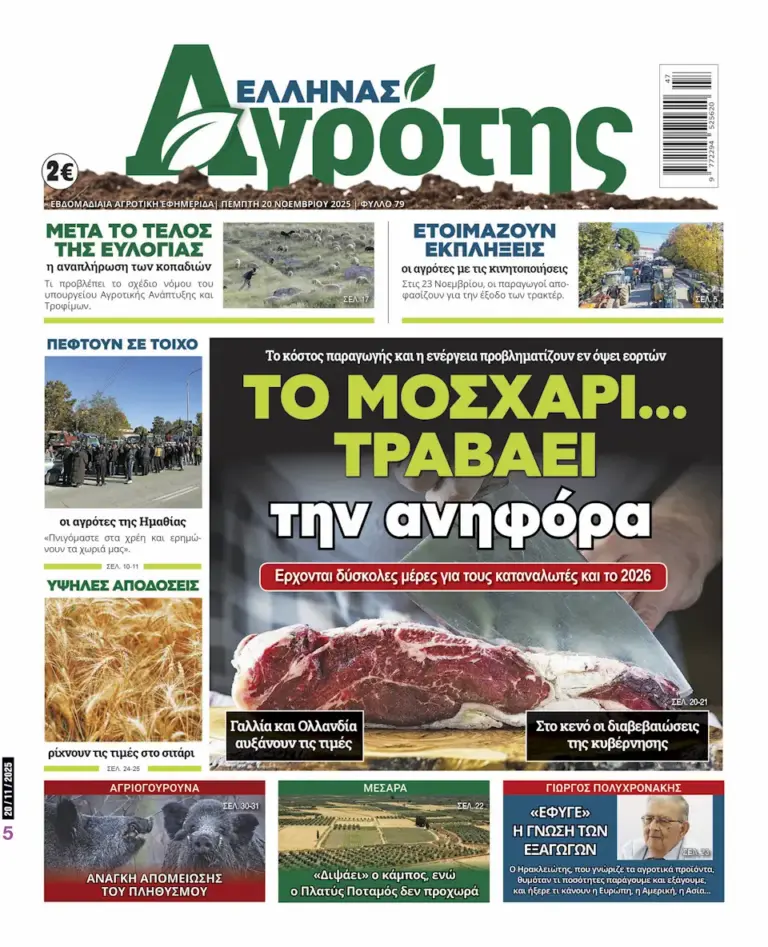 20.11.2025