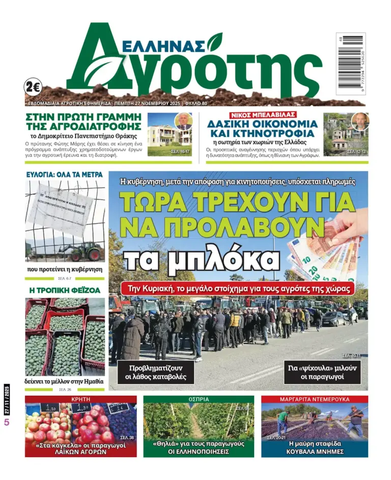 27.11.2025