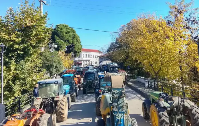 agrotes1
