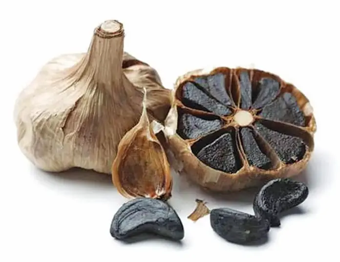 skordo_black