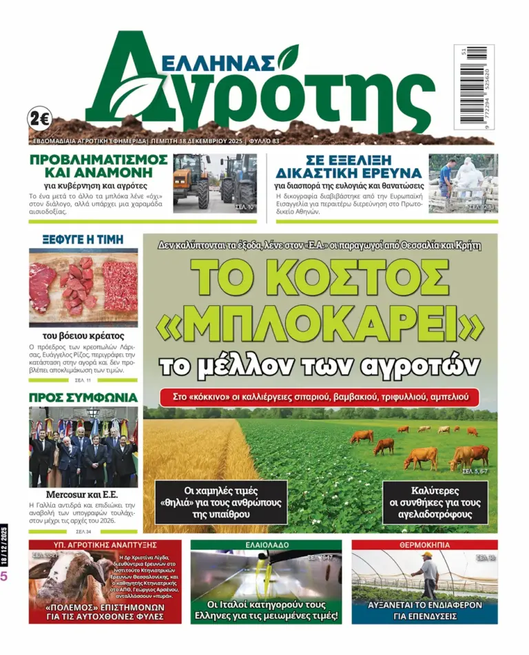 18.12.2025