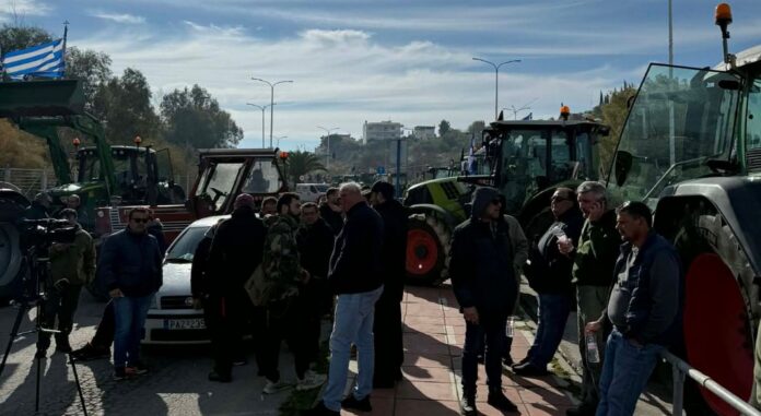 agrotes-bolos-limania agro