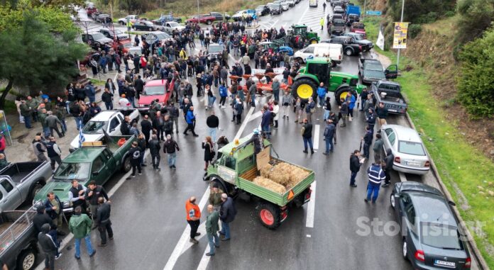 blokolesvou-larsos agro