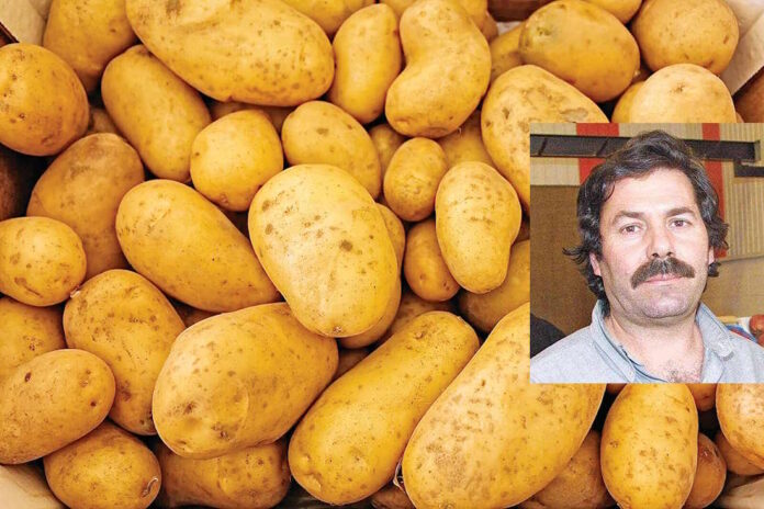 potatoes