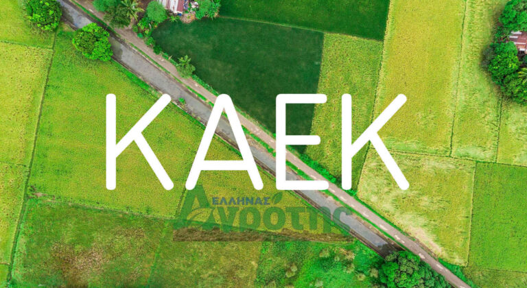 Έως και την Τρίτη 13 Ιανουαρίου οι υπεύθυνες δηλώσεις κατοχής αγροτεμαχίου χωρίς ΚΑΕΚ