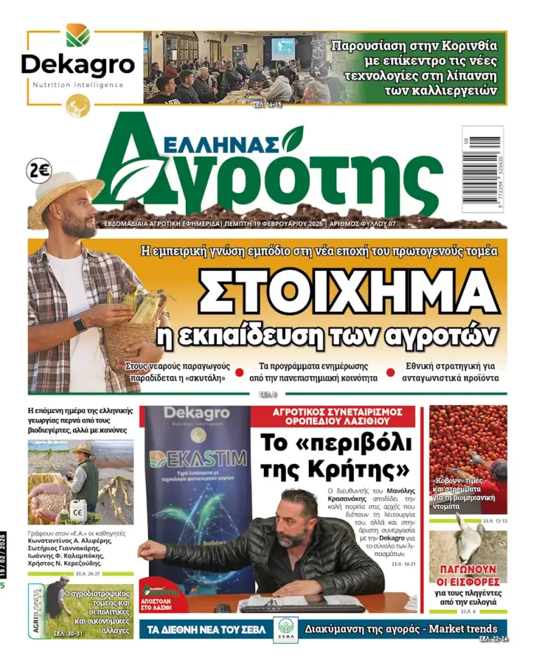 19.02.2026