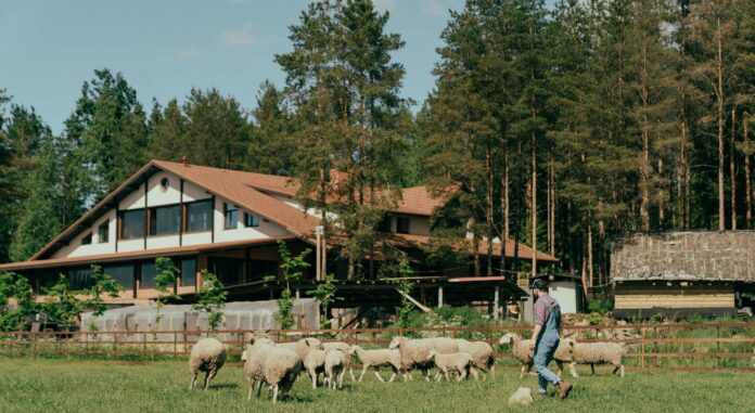 ktinotrofia-agroktima-ktima-aigoprovata agro