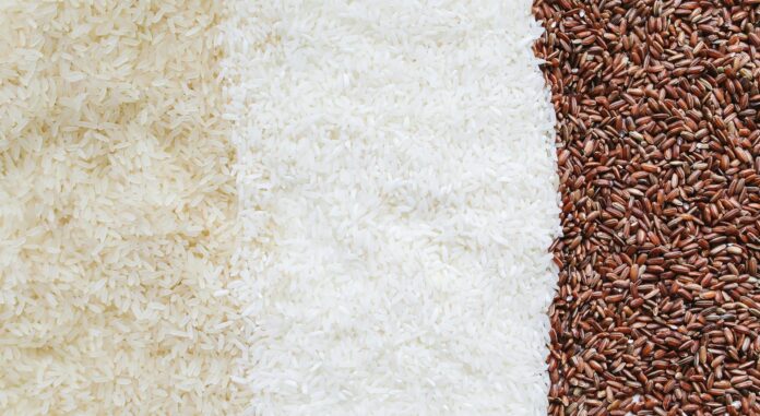 rice-ryzia-ryzi agro