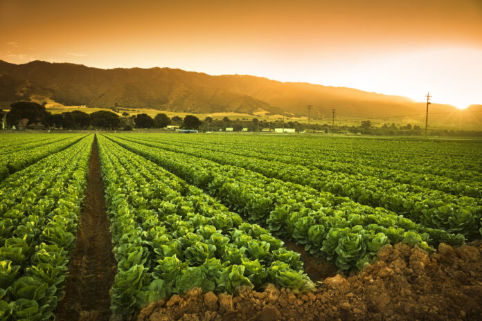 globalagriculture