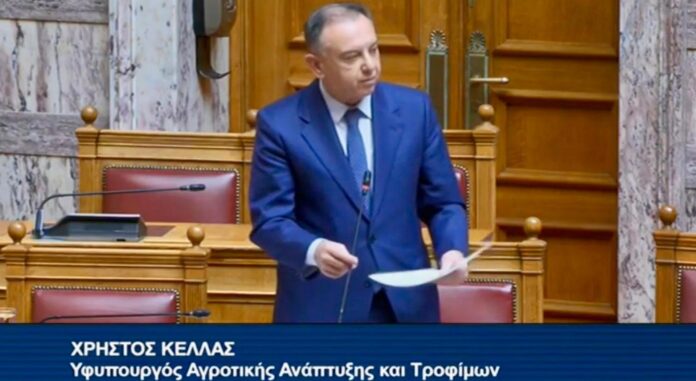 kellas-vouli-boy-koinovoulio agro