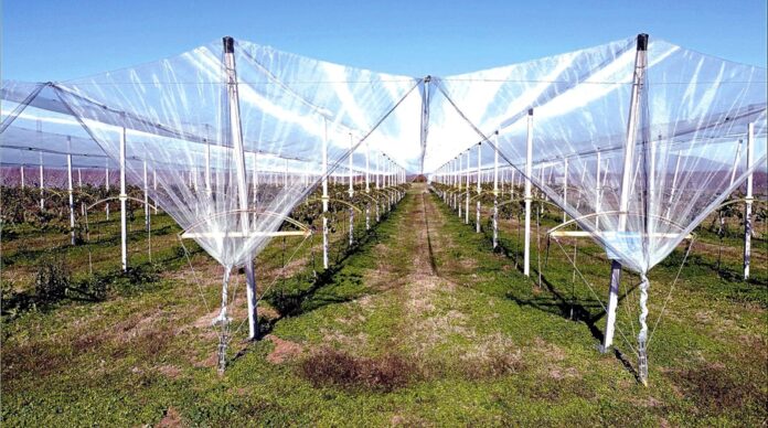antixalaziagro12