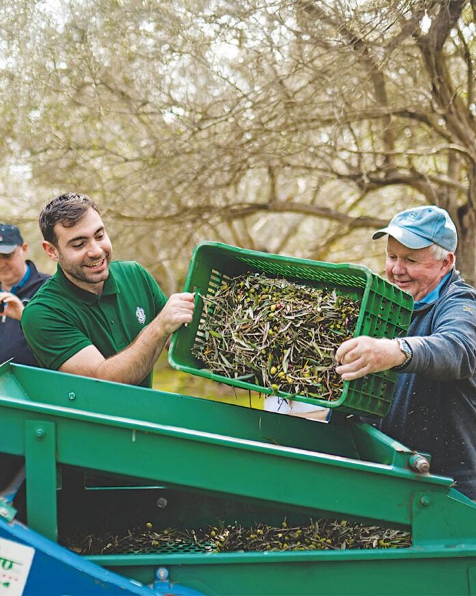 corfuoliveagro