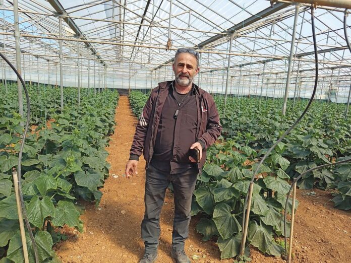 fountoulakisagro