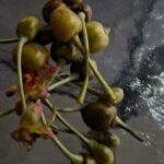 Το Υπουργείο έδωσε 4.5 εκατ.€ στον ΕΛΓΑ και άνοιξε το δρόμο για αποζημιώσεις