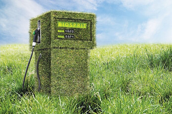 f1_profimedia-1016906252agro