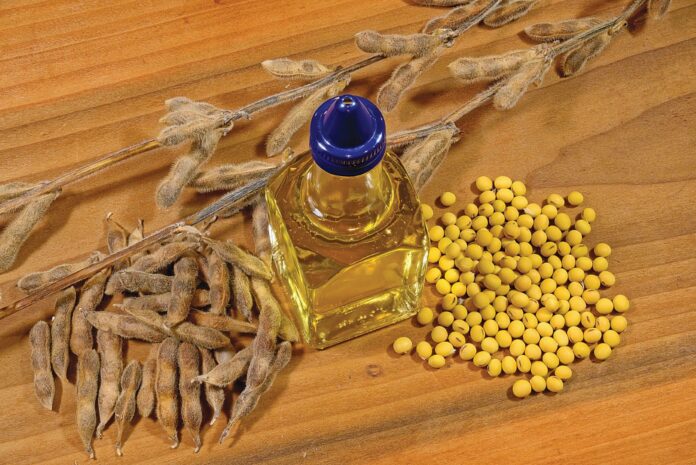 f2_soya_oil_profimedia-1052145868agro