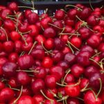 Υποσχέσεις για αποζημίωση έως και 600€ το στρέμμα στο προανθικό του 2025