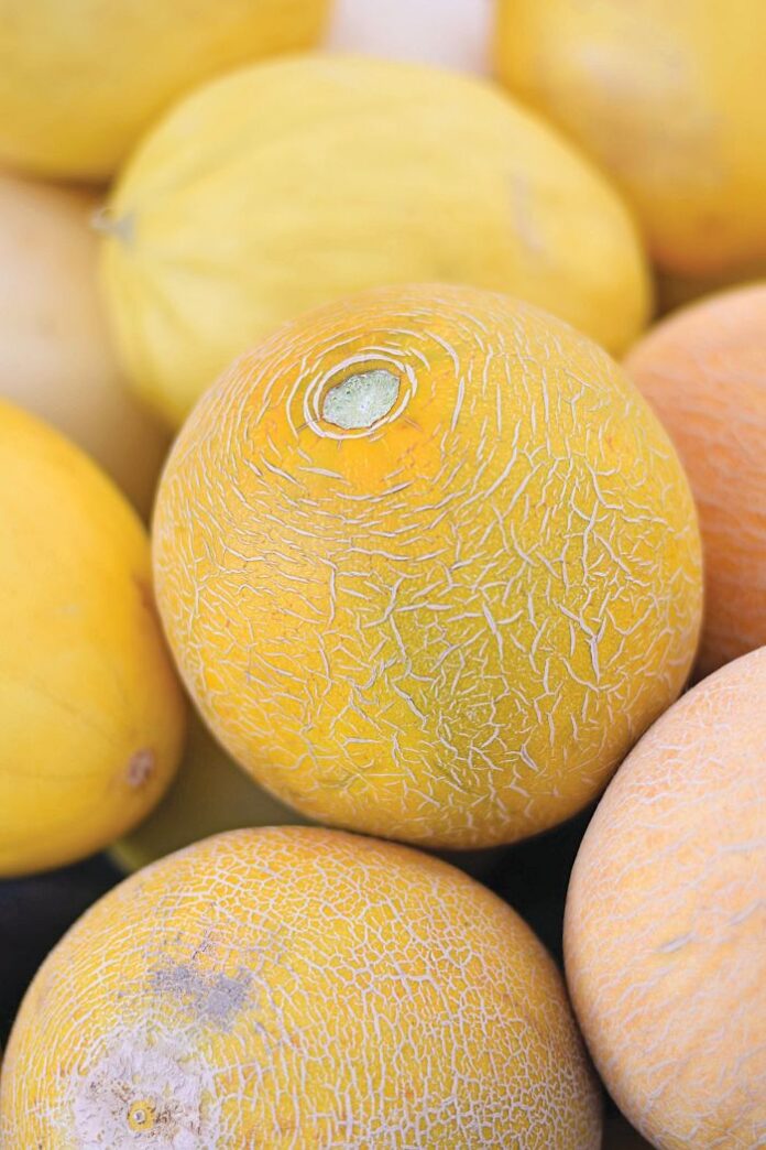 peponiagro