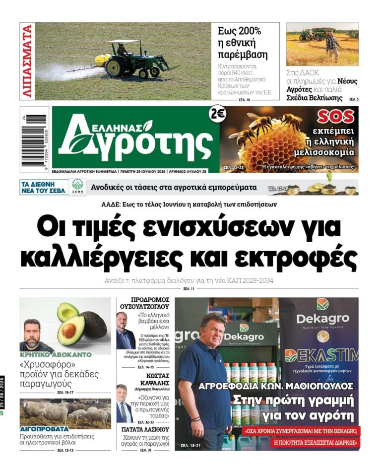 25.06.2026