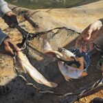 Ιχθυοκαλλιέργεια στην έρημο Σαχάρα