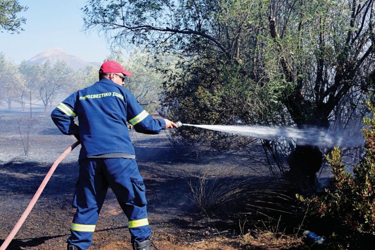 Όροι και ποσά αποζημιώσεων για τις πυρκαγιές του 2023