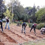 Από 13 Ιουλίου έως 15 Σεπτεμβρίου οι εγγραφές στις σχολές ΕΛΓΟ-Δήμητρα