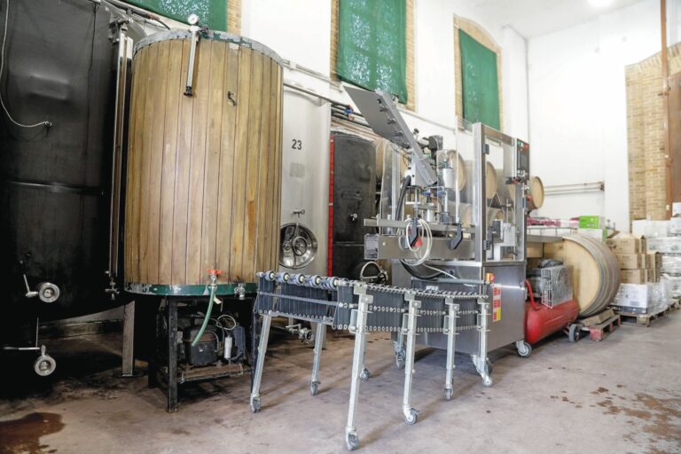 Ερευνητικές υποτροφίες για τα αμπελοοινικά