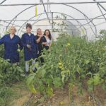 ΕΠΑ.Λ. Χρυσούπολης: Μαθητές και εκπαιδευτικοί καλλιεργούν