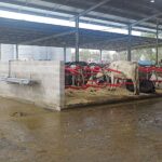 Αυστραλία: Ρομπότ μεταμορφώνουν μονάδα παραγωγής
