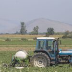 Καλοί οι «αγιασμοί», αλλά χρειάζονται και οι γάτες...