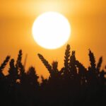 «Ελ Νίνιο», κλιματική αλλαγή με κινδύνους για το περιβάλλον