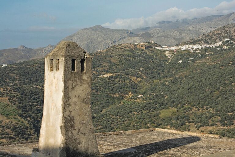 Ξεσηκώνονται στην Κρήτη για τους δασικούς χάρτες