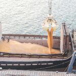 Περσικός Κόλπος: Οι ιδιαιτερότητες της μεταφοράς σιτηρών