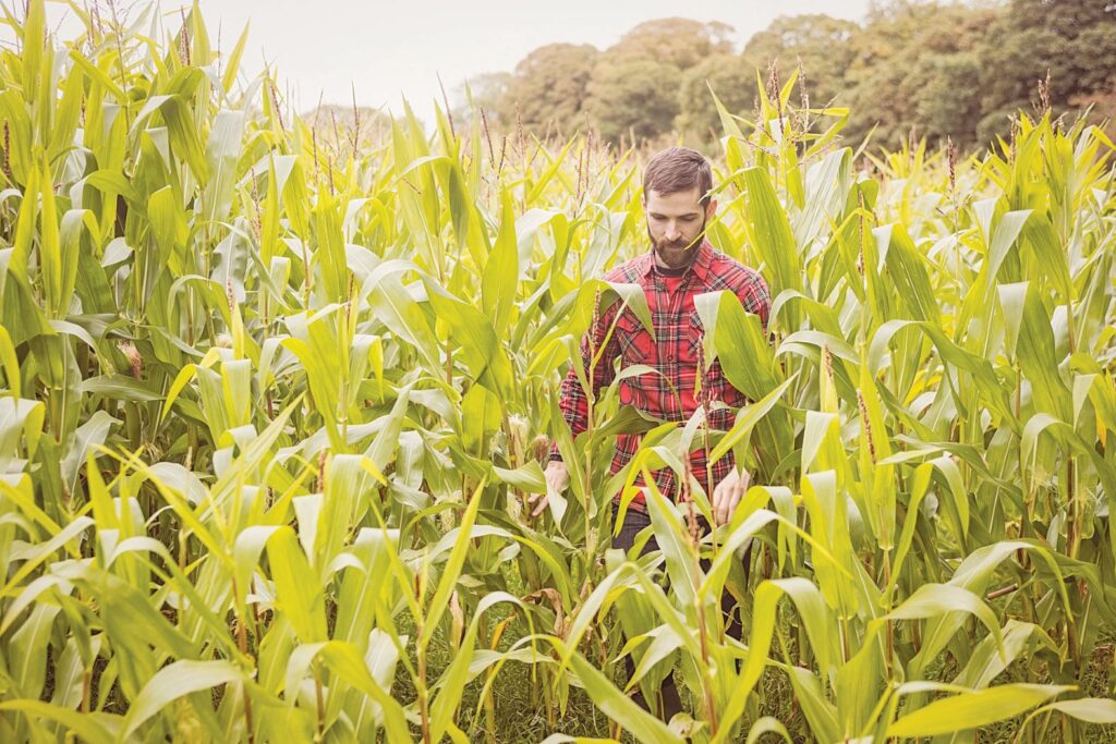USDA: Οι αγρότες φύτεψαν λιγότερα εκτάρια καλαμπόκι