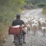 Μείωση των κτηνοτροφικών εκμεταλλεύσεων
