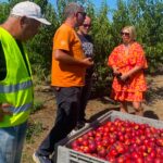 Λαρισαίος αγρότης δωρίζει νεκταρίνια και στρέφεται ενάντια στους μεσάζοντες (Βίντεο)