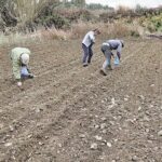 Τα οφέλη και... τα ψιλά γράμματα των 72 δόσεων για χρέη στον πρώην ΟΓΑ